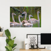 Poster du Swan (Bureau à domicile)