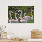 Poster du Swan (Cuisine)