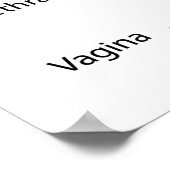 Poster du système de reproduction féminin (Coin)