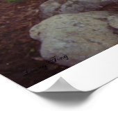 Poster du temple de Gaozhan (Coin)