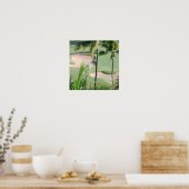 Poster du terrain de golf dans les tropiques (Cuisine)