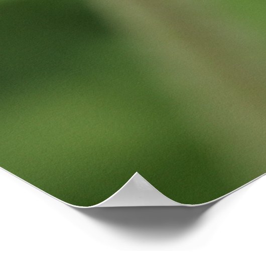 Poster du Texas Bluebonnet (Coin)