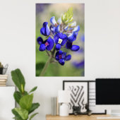 Poster du Texas Bluebonnet (Bureau à domicile)