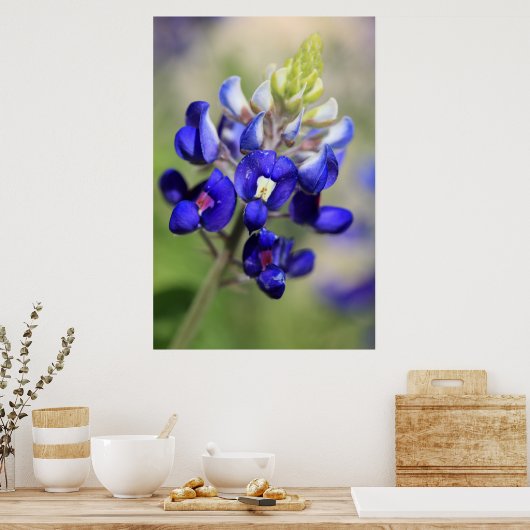 Poster du Texas Bluebonnet (Cuisine)