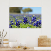 Poster du Texas Bluebonnets (Cuisine)