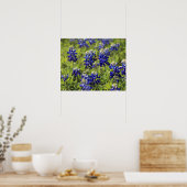 Poster du Texas Bluebonnets (Cuisine)