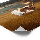 Poster du Texas Longhorn (Coin)