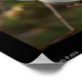 Poster du thé et du livre (Coin)