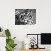 Poster du tigre (Bureau à domicile)