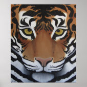 Poster du tigre (Devant)