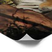 Poster du tigre (Coin)