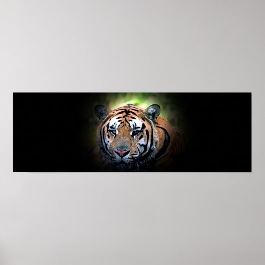 Poster du tigre (Devant)
