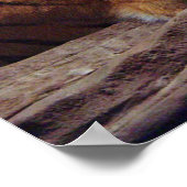 Poster du tigre (Coin)