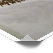 Poster du tigre de neige (Coin)