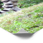 Poster du tigre du Bengale (Coin)