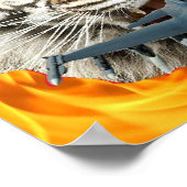 Poster du Tigre fou (Coin)