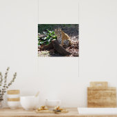 Poster du tigre mignon (Cuisine)