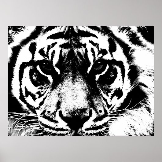 Poster du tigre Motivationnel (Devant)