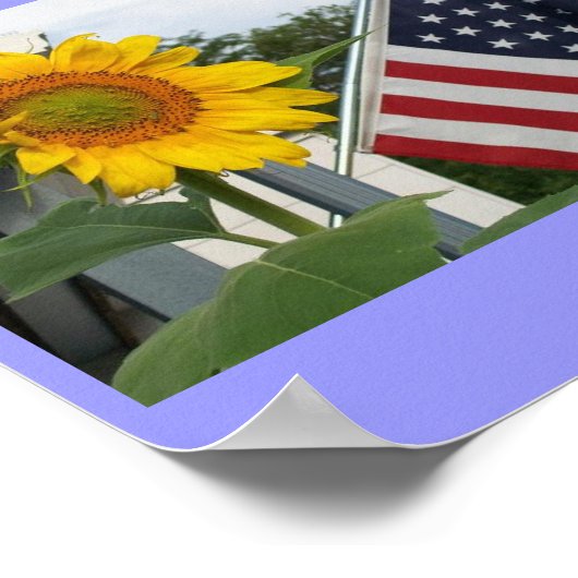 Poster du tournesol avec drapeau (Coin)