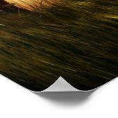 Poster du traceur (Coin)