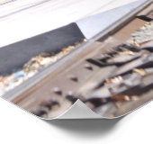 Poster du train du moteur à vapeur (Coin)