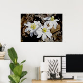 Poster du trio Bloodroot (Bureau à domicile)