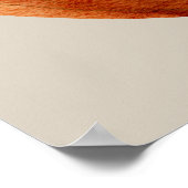 Poster du Trio Citrouille Gnome (Coin)