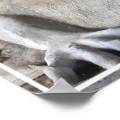 Poster du Troll de Seattle Fremont (différentes ta (Coin)