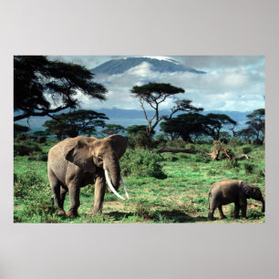 Poster du troupeau d'éléphants
