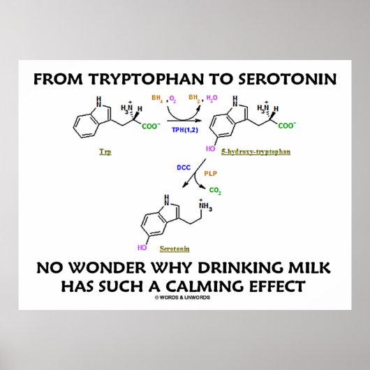 Poster Du Tryptophane À La Serotonine (Humour De Chimie) (Devant)