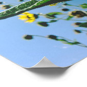 Poster du verset de la Bible, les fleurs poussent (Coin)
