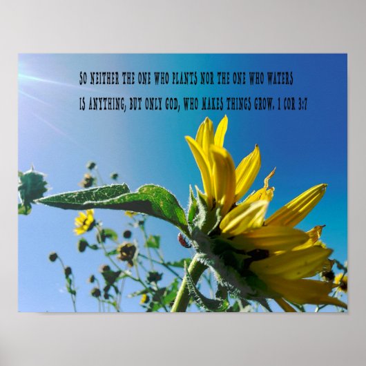 Poster du verset de la Bible, les fleurs poussent (Devant)