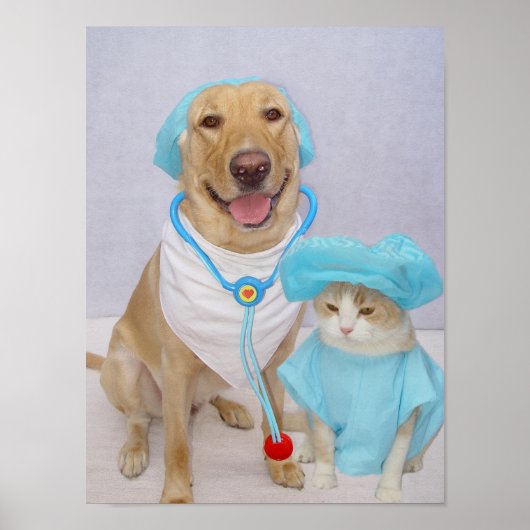 Poster du vétérinaire (Devant)