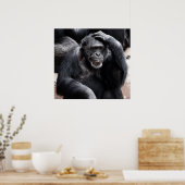 Poster du vieux chimpanzé (Cuisine)