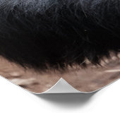 Poster du vieux chimpanzé (Coin)