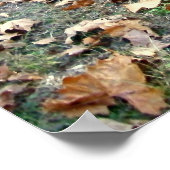 Poster du vieux râteau de foin (Coin)