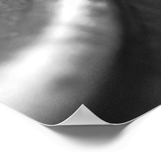 Poster du violon 2 (Coin)