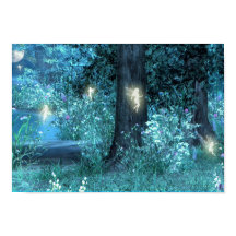 Poster du vol Night Magic