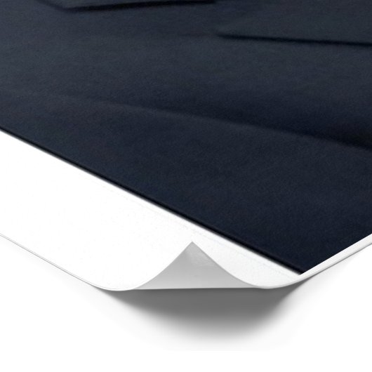 Poster du Vote Mitt Romney 2012 (Coin)