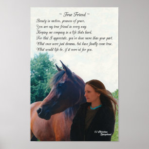 Poster du Vrai Ami Arabian Horse