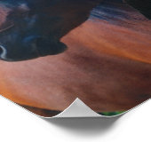 Poster du Vrai Ami Arabian Horse (Coin)