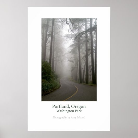 Poster du Washington Park (Devant)