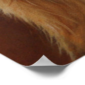 Poster du Yorkshire Terrier (Coin)