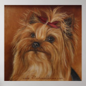 Poster du Yorkshire Terrier (Devant)