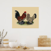 Poster D'Uccle Bantams : Mille Fleur (Cuisine)