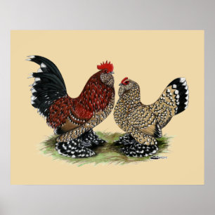 Poster D'Uccle Bantams : Mille Fleur