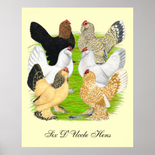 Poster D'Uccles Six Hens