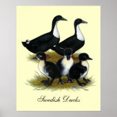 Poster Duck Family (Devant)