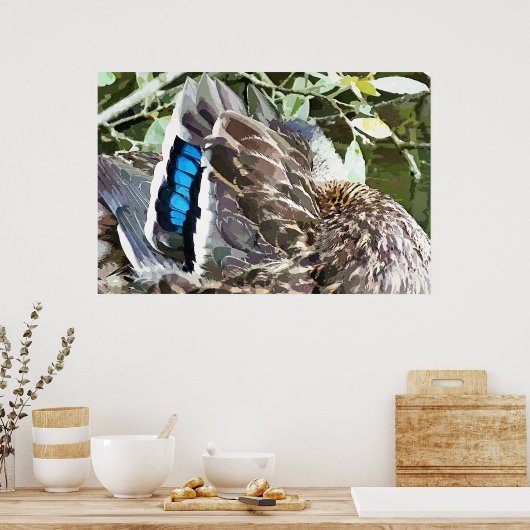 POSTER DUCK FEATHERS (Cuisine)