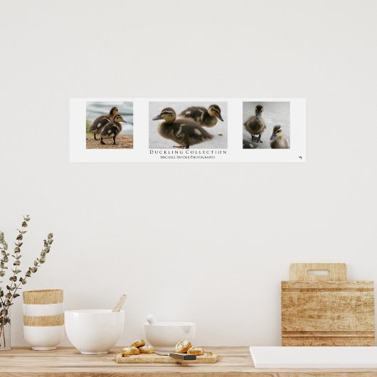 Poster "Duckling Collection", Blanc (Cuisine)